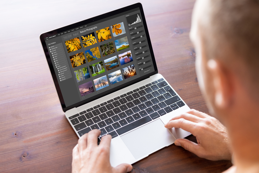 Businessman using photo editing software on the laptop