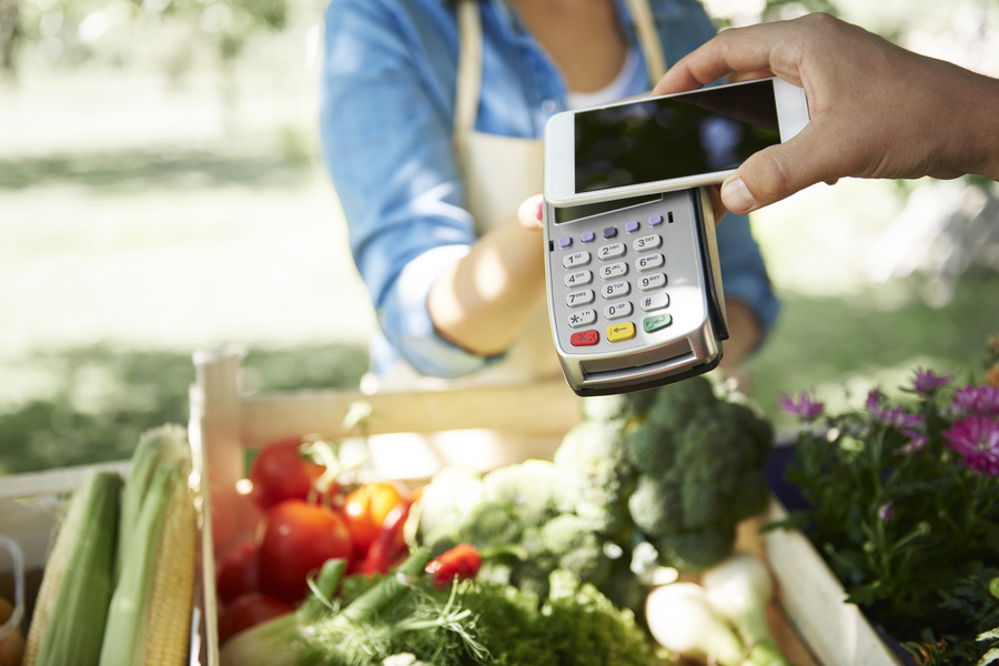 A customer's hand holding a smartphone with the Google Wallet and paying at a farmers market.